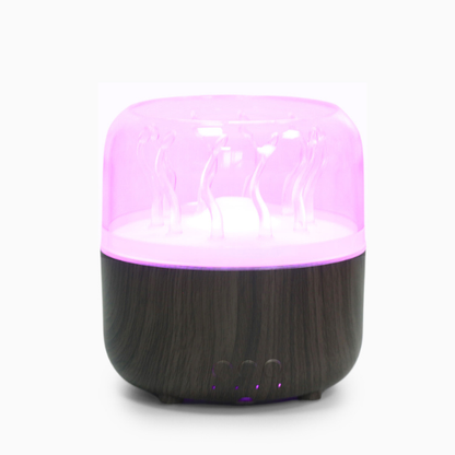 Minimalistinis namų SPA difuzorius - drėkintuvas