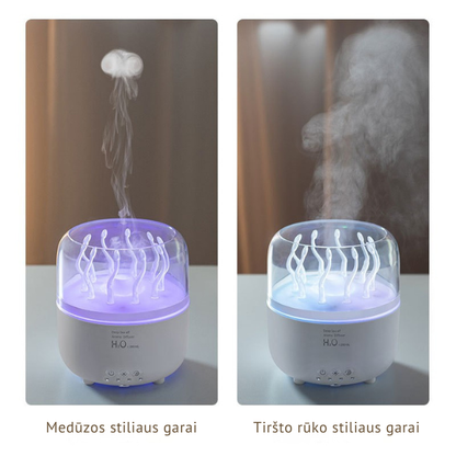 Minimalistinis namų SPA difuzorius - drėkintuvas